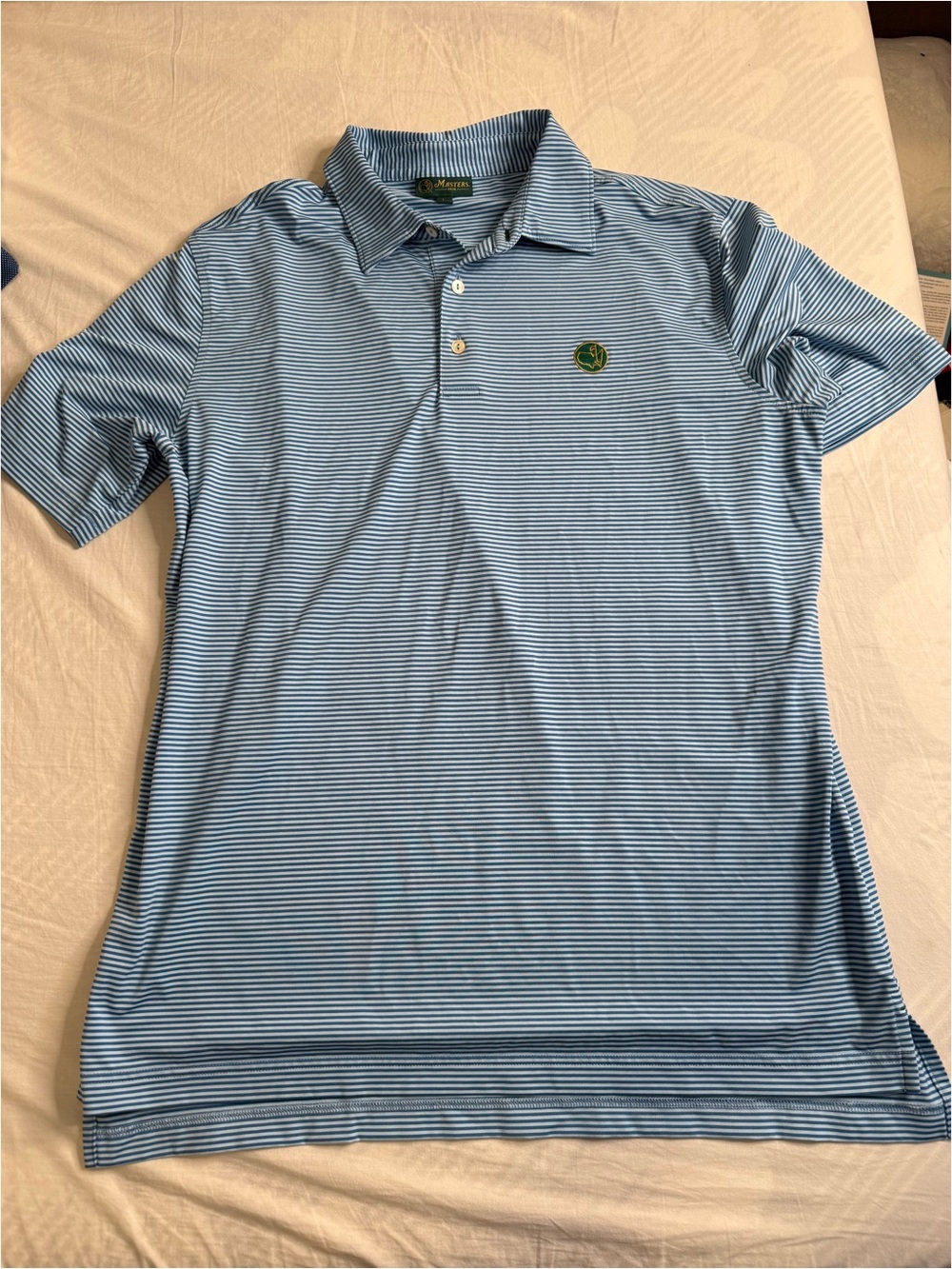 Masters Blue Stripe Men's Polo Shirt